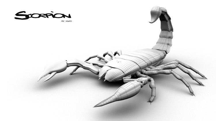 Scorpion, mélange du rendu filaire et occlusion.