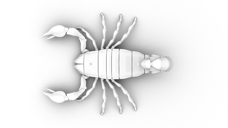 Scorpion, rendu occlusion